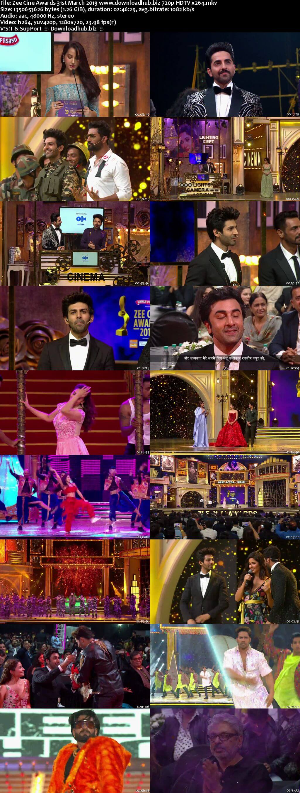 Zee Cine Awards 31st March 2019 720p HDTV x264