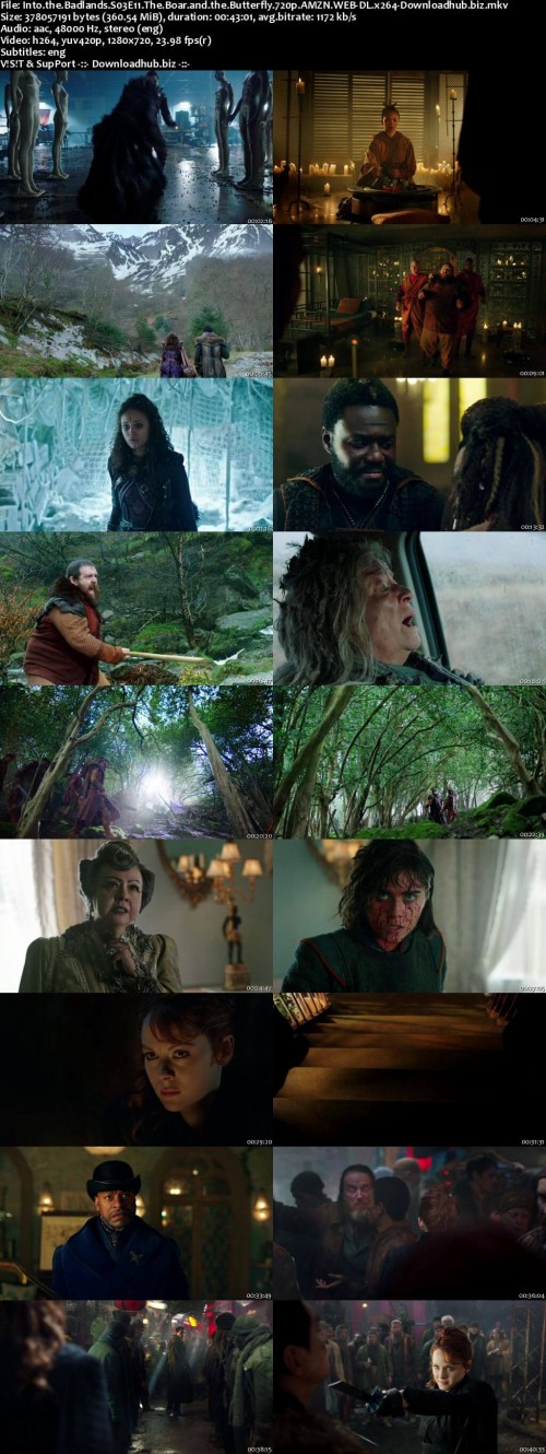 Into.the.Badlands.S03E11.The.Boar.and.the.Butterfly.720p.AMZN.WEB-DL.x264-Downloadhub.biz_s.jpg