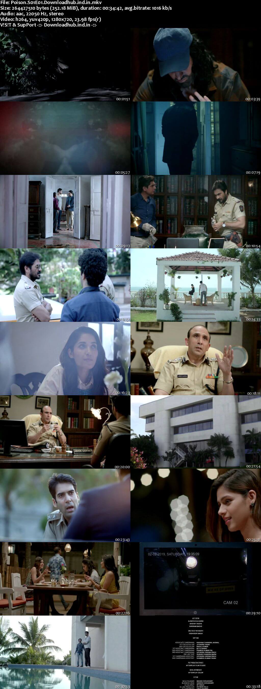 Poison 2019 Hindi S01 WEB Series Complete 720p HDRip x264