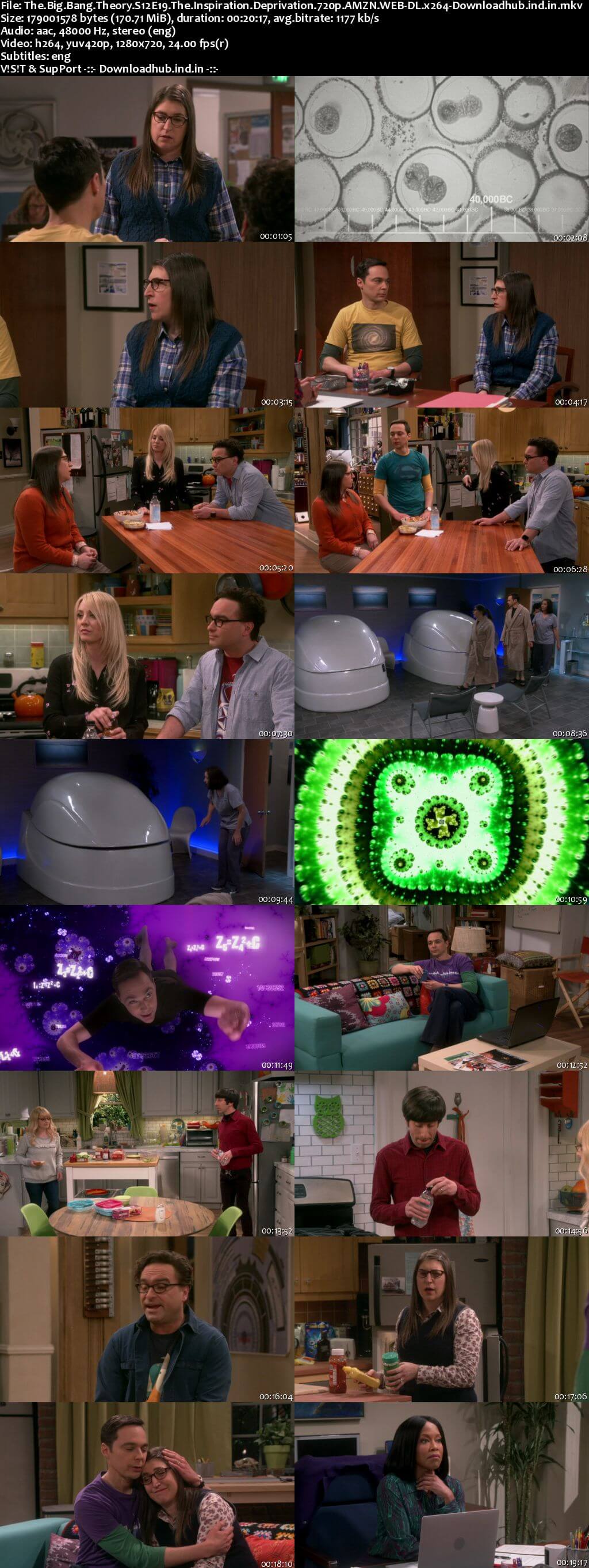 The Big Bang Theory S12E19 170MB AMZN WEB-DL 720p ESubs