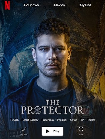 The Protector 2018 Hindi S02 Turkish Series Complete 720p HDRip x264