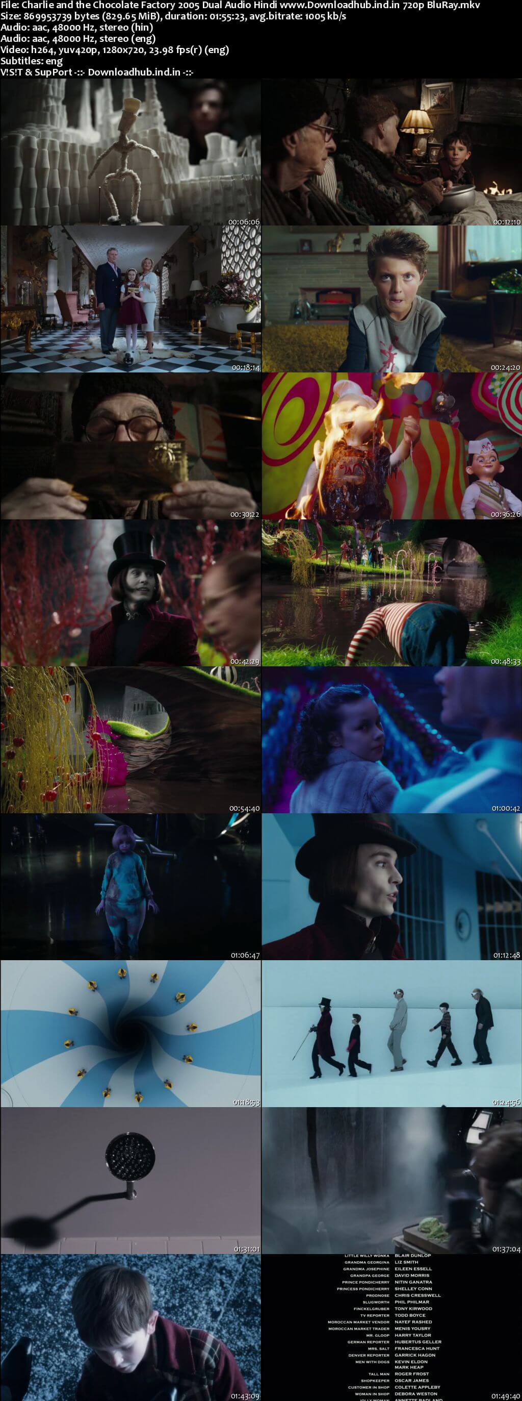 Charlie and the Chocolate Factory 2005 Hindi Dual Audio 720p BluRay ESubs