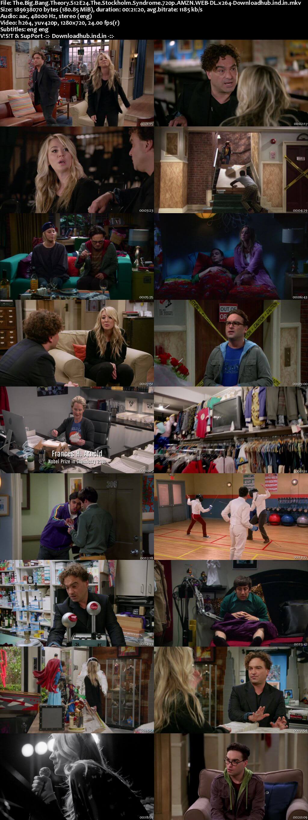 The Big Bang Theory S12E24 180MB AMZN WEB-DL 720p ESubs