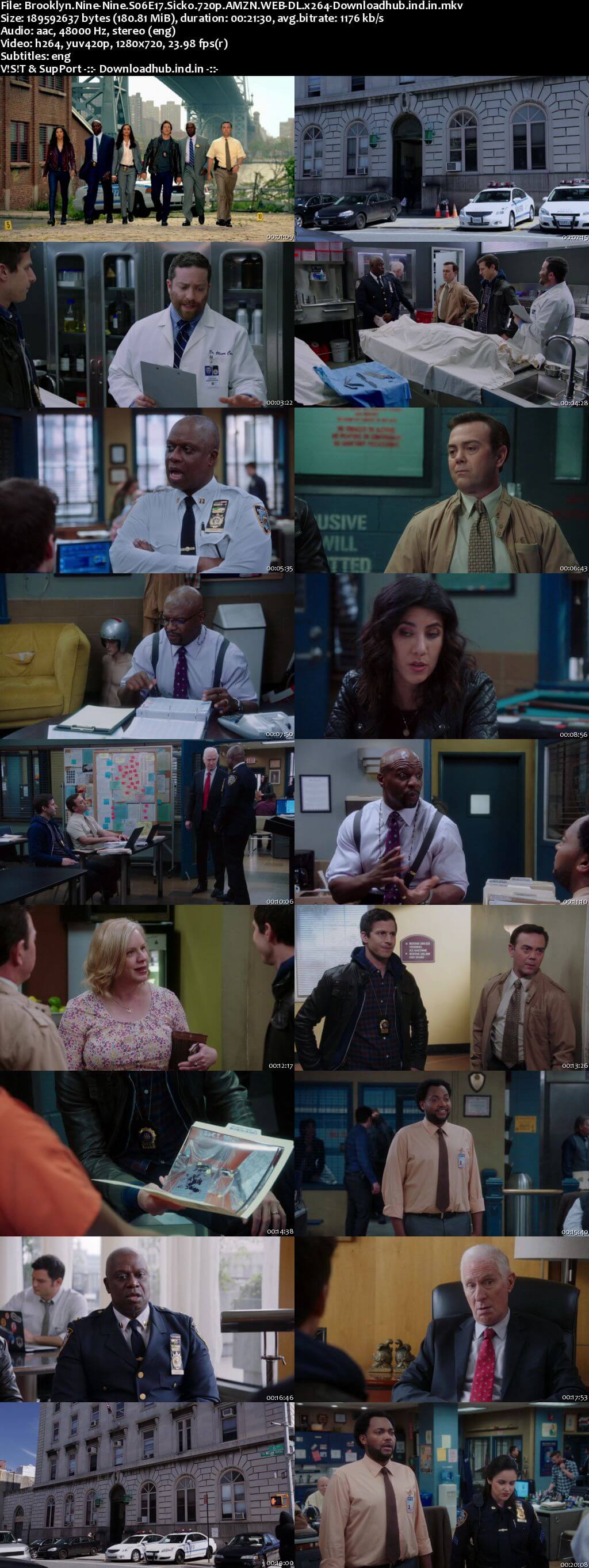 Brooklyn Nine-Nine S06E17 180MB WEB-DL 720p ESubs