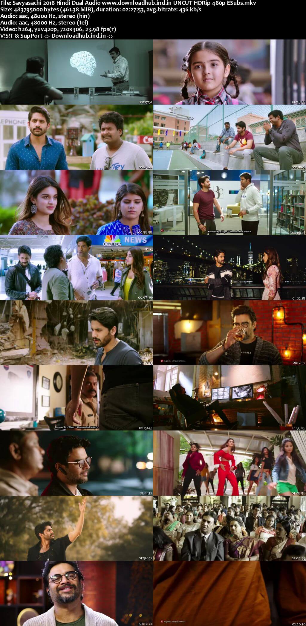 Savyasachi 2018 Hindi Dual Audio 450MB UNCUT HDRip 480p ESubs