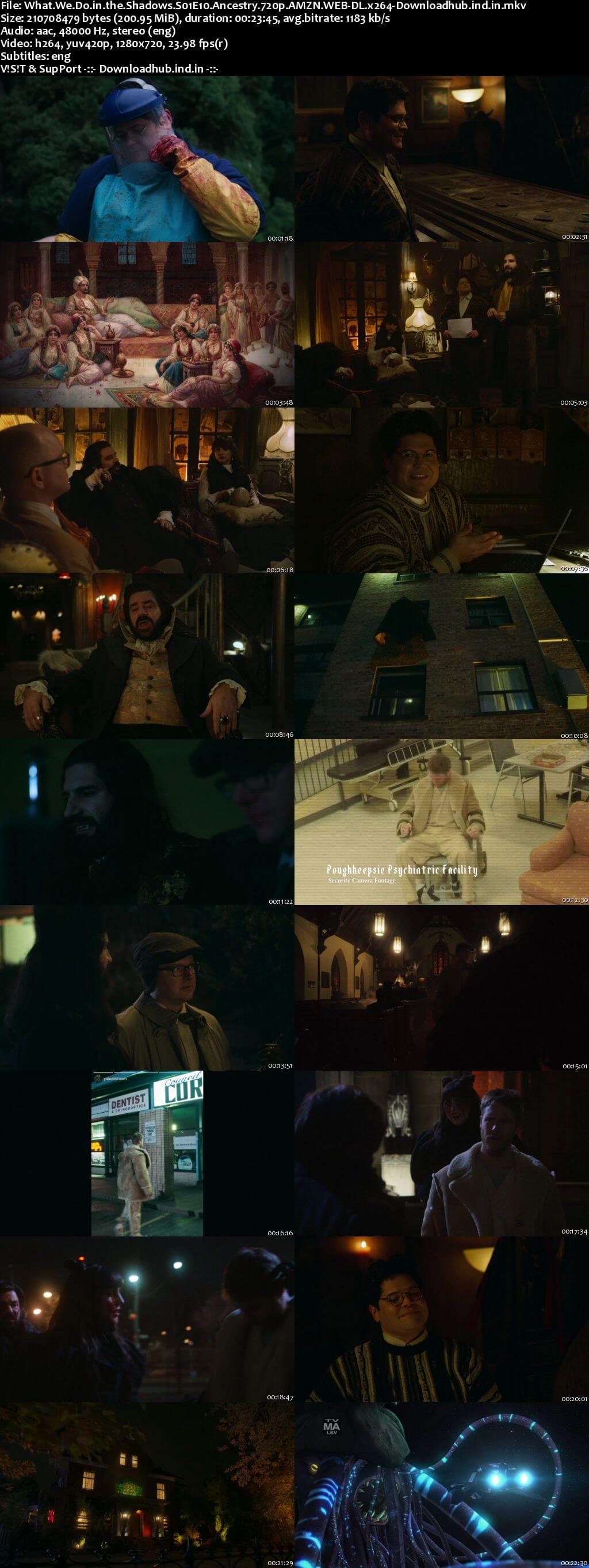 What We Do in the Shadows S01E10 200MB AMZN WEB-DL 720p ESubs