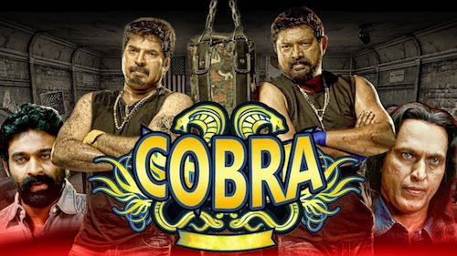 Cobra 2019 Hindi Dubbed 350MB HDRip 480p