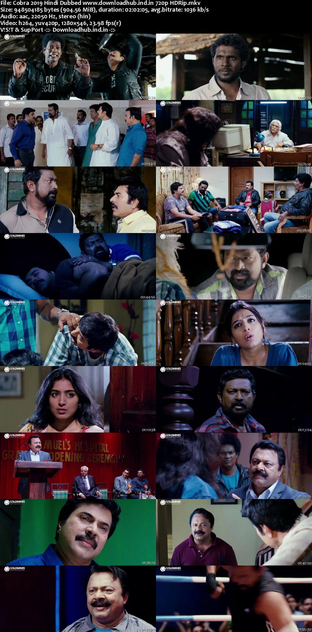 Cobra 2019 Hindi Dubbed 720p HDRip x264