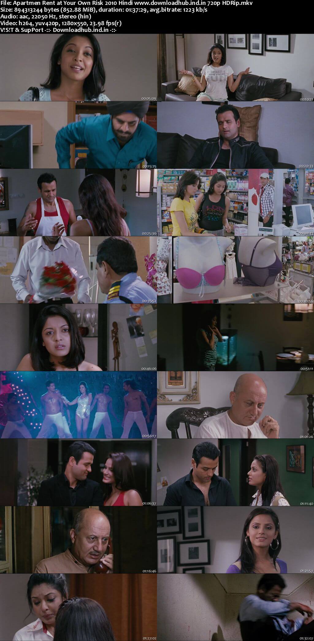 Apartment Rent at Your Own Risk 2010 Hindi 720p HDRip x264