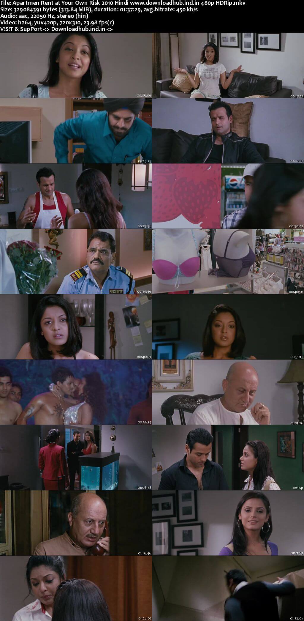 Apartment Rent at Your Own Risk 2010 Hindi 300MB HDRip 480p