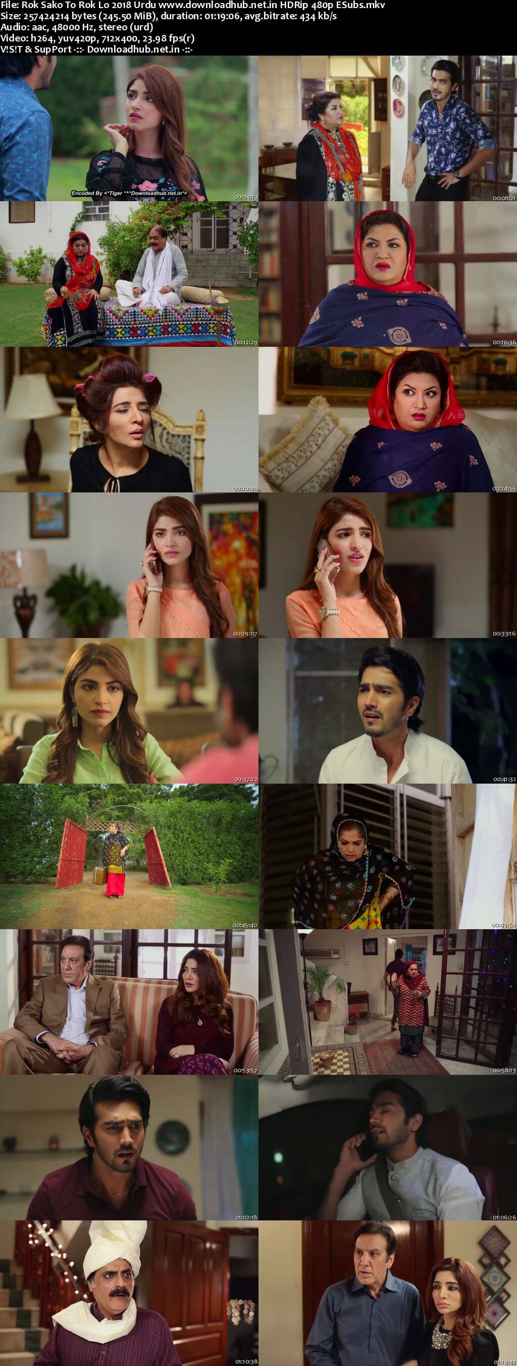 Rok Sako To Rok Lo 2018 Urdu 250MB HDRip 480p ESubs Rok Sako To Rok Lo 2018 Urdu 250MB HDRip 480p ESubs
