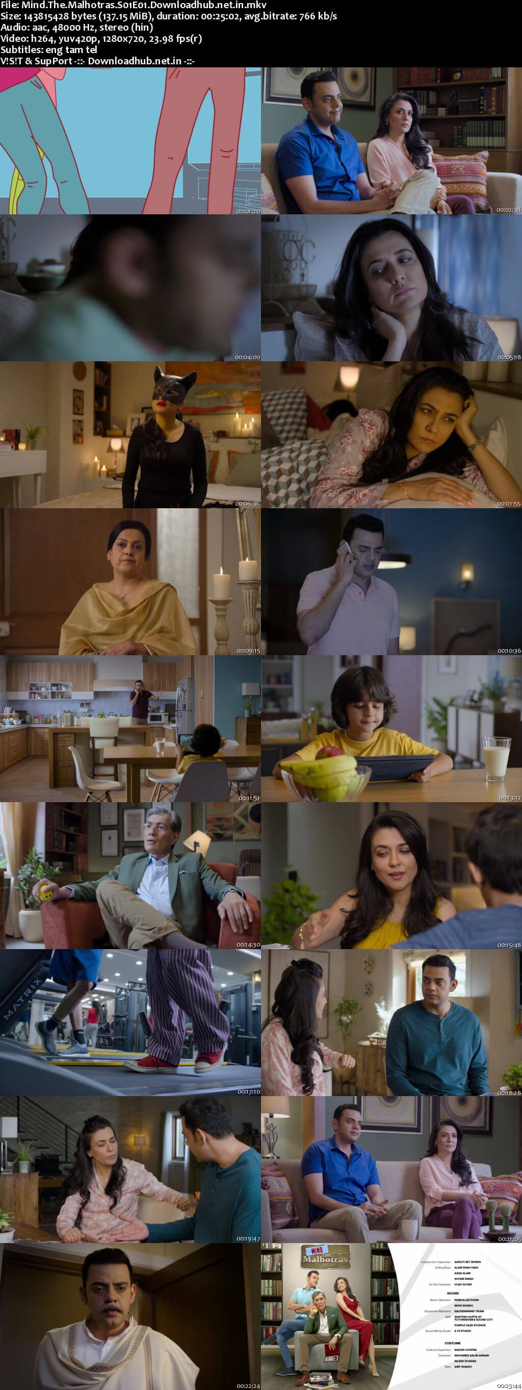 Mind The Malhotras 2019 Hindi Season 01 Complete 720p HDRip MSubs