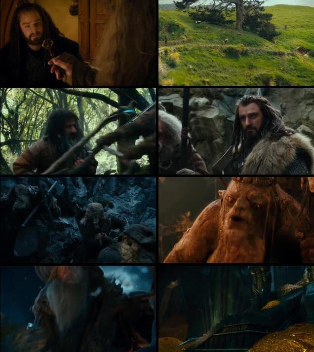 The Hobbit An Unexpected Journey 2012 Dual Audio Hindi 480p BluRay