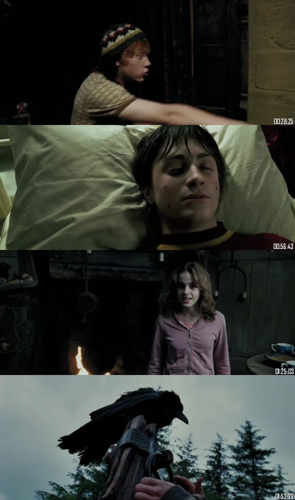 Harry Potter and the Prisoner of Azkaban 2004 BRRip 720p 480p Dual Audio Hindi English Full Movie Download