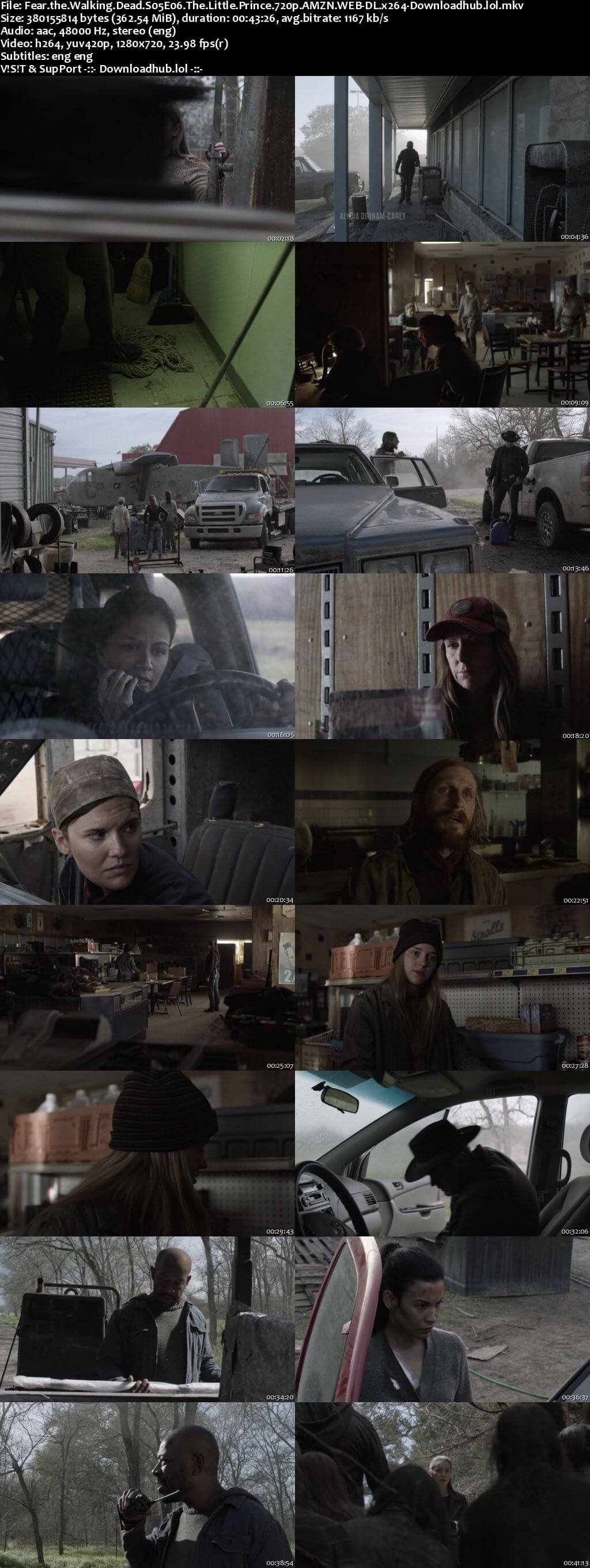 Fear the Walking Dead S05E06 350MB AMZN Web-DL 720p ESubs