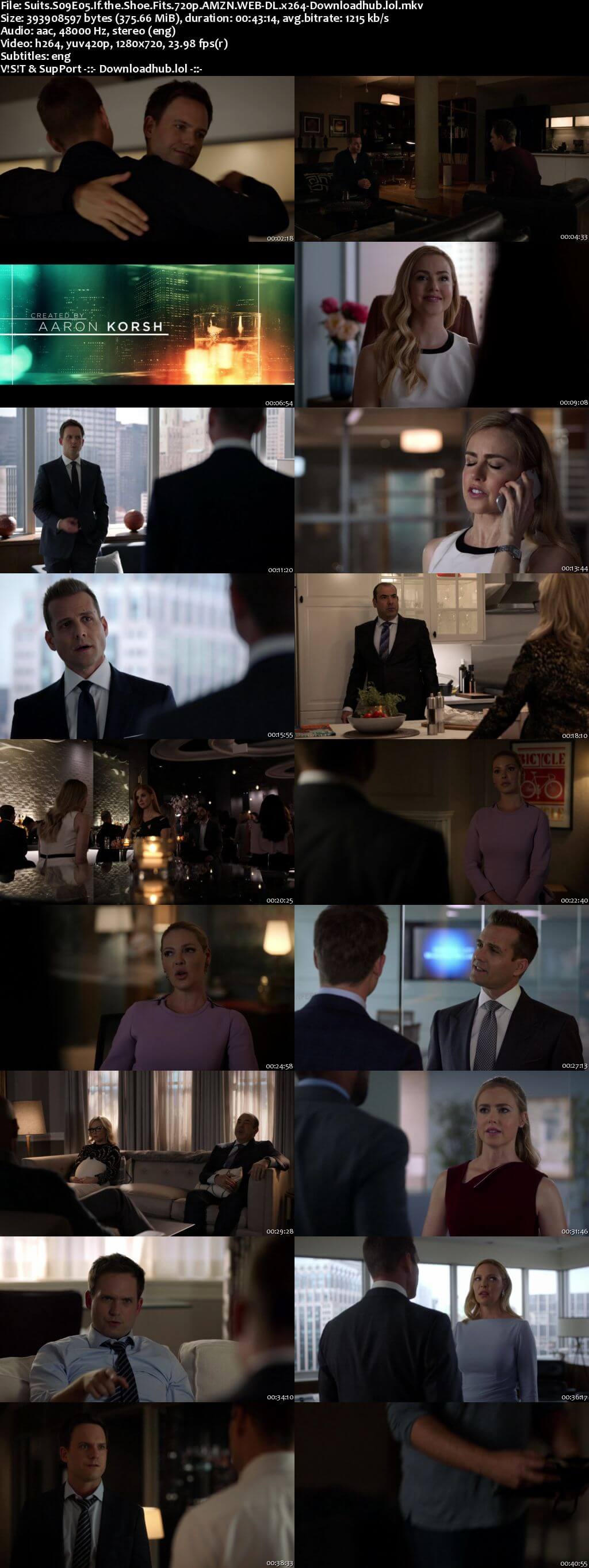 Suits S09E05 350MB Web-DL 720p x264 ESubs