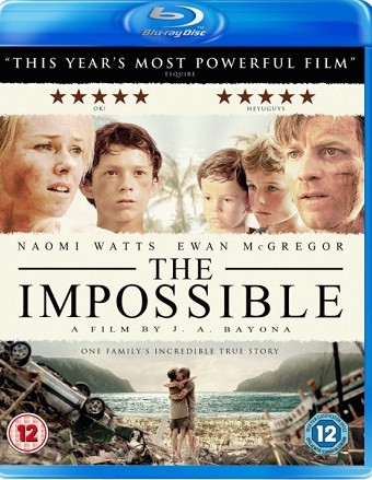 The Impossible 2012 Dual Audio Hindi Bluray Movie Download