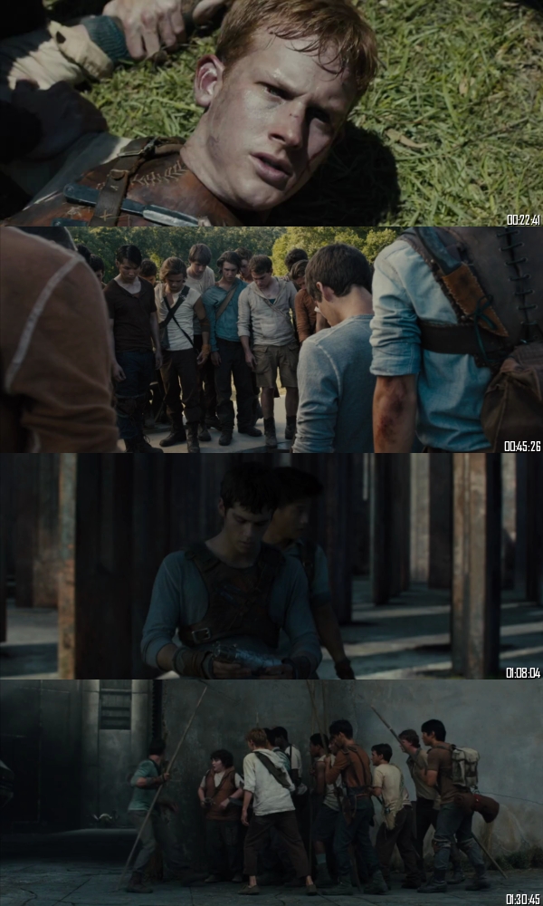 The Maze Runner 2014 BRRip 720p 480p Dual Audio Hindi English Full Movie Download