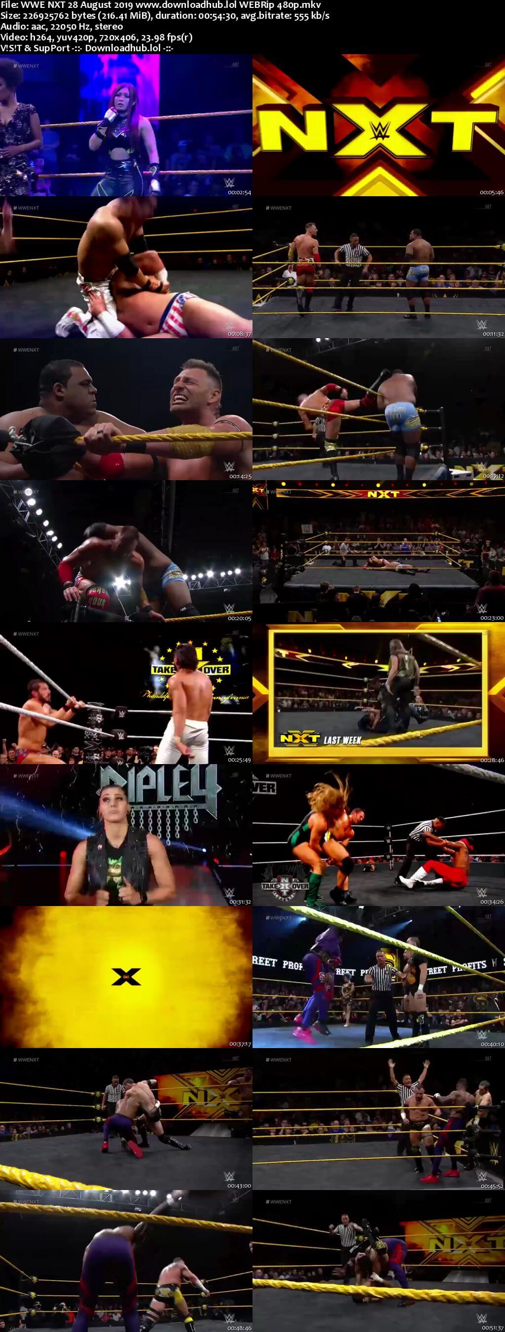 WWE NXT 28th August 2019 200MB HDTV 480p