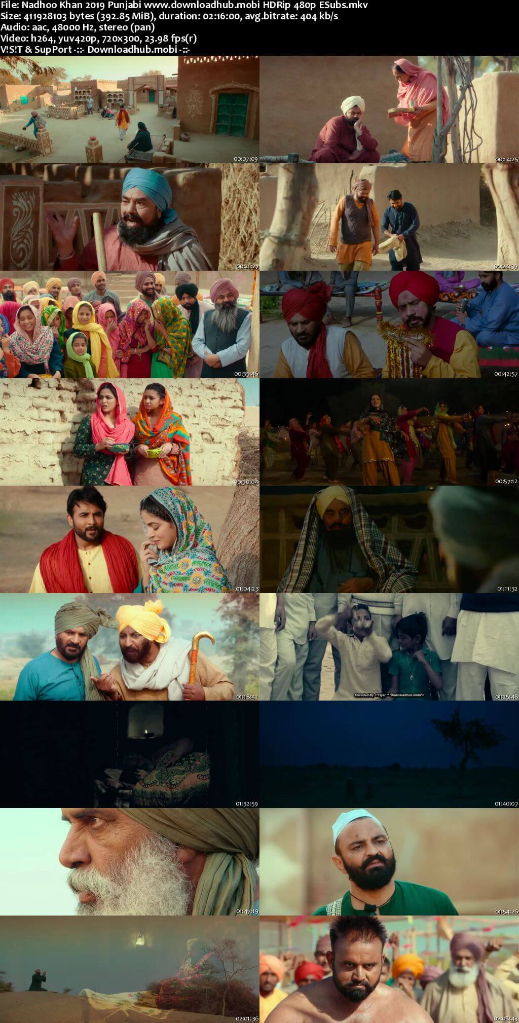 Nadhoo Khan 2019 Punjabi 400MB HDRip 480p ESubs