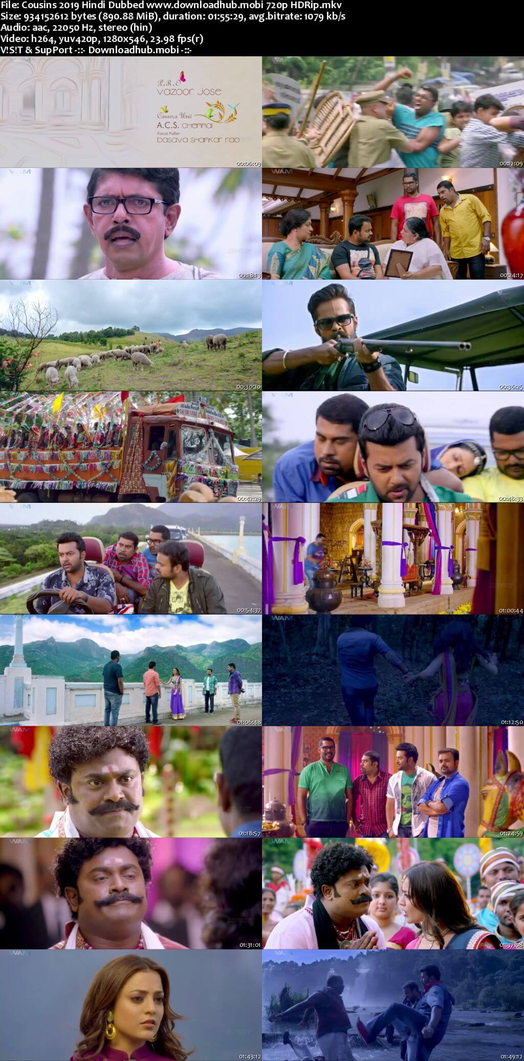 Cousins 2019 Hindi Dubbed 720p HDRip x264