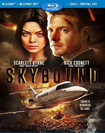 Skybound 2018 Dual Audio Hindi Bluray Movie Download