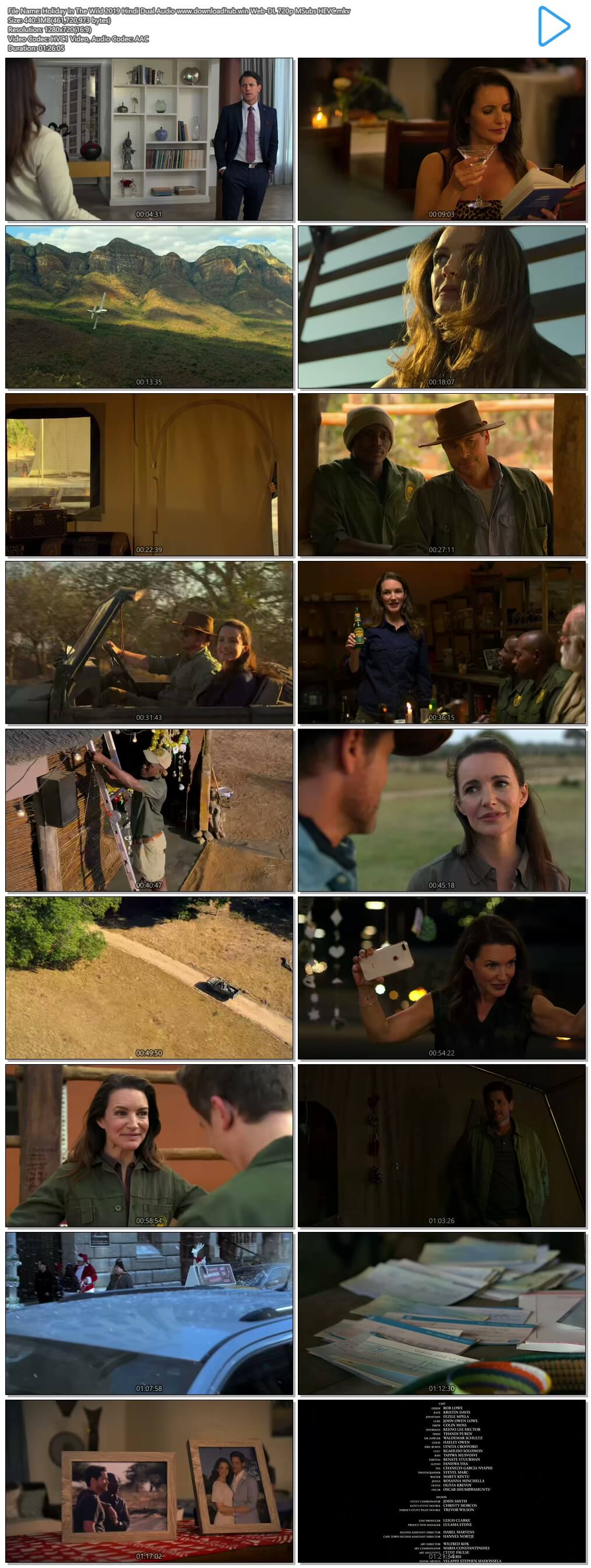 Holiday In The Wild 2019 Hindi Dual Audio 400MB Web-DL 720p MSubs HEVC