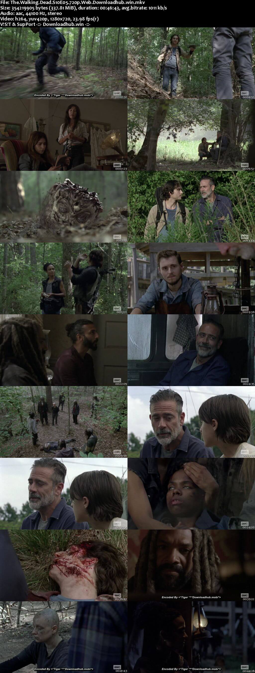 The Walking Dead S10E05 300MB WEB-DL 720p x264