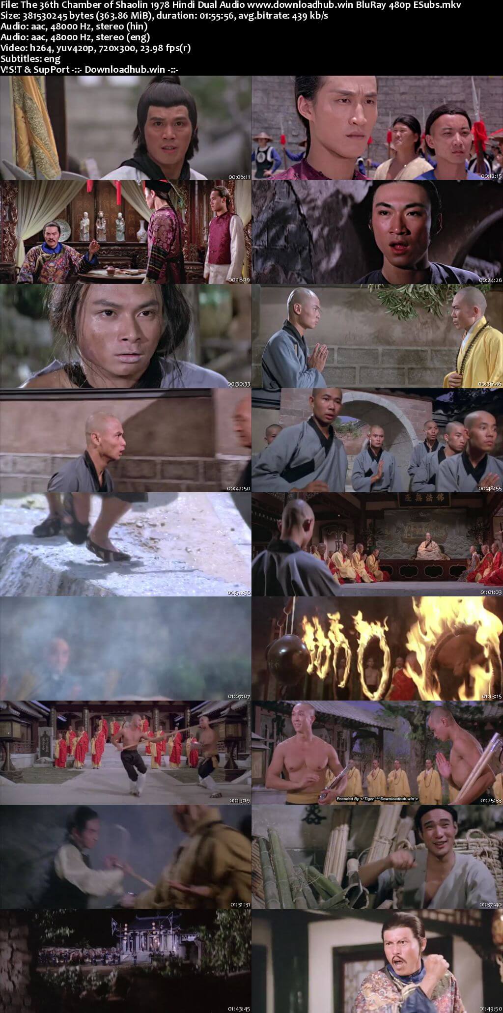 The 36th Chamber of Shaolin 1978 Hindi Dual Audio 350MB BluRay 480p ESubs