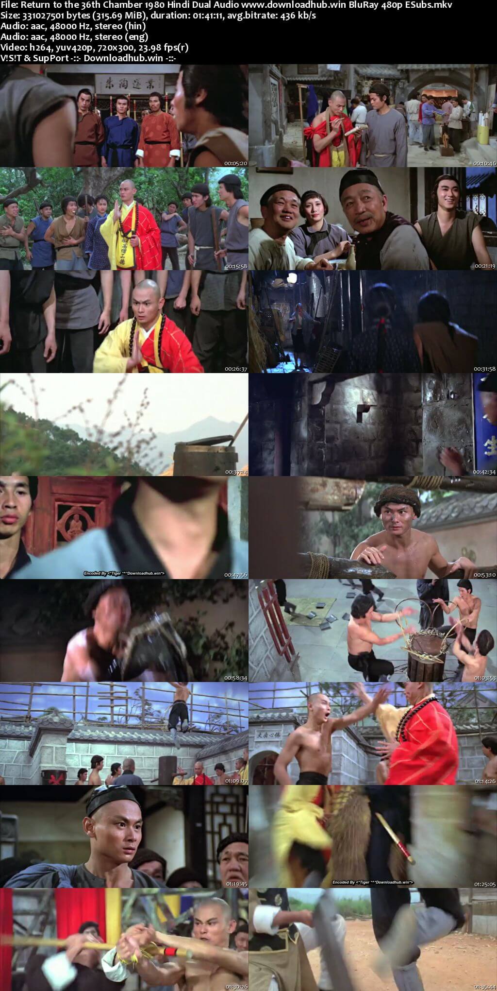 Return to the 36th Chamber 1980 Hindi Dual Audio 300MB BluRay 480p ESubs