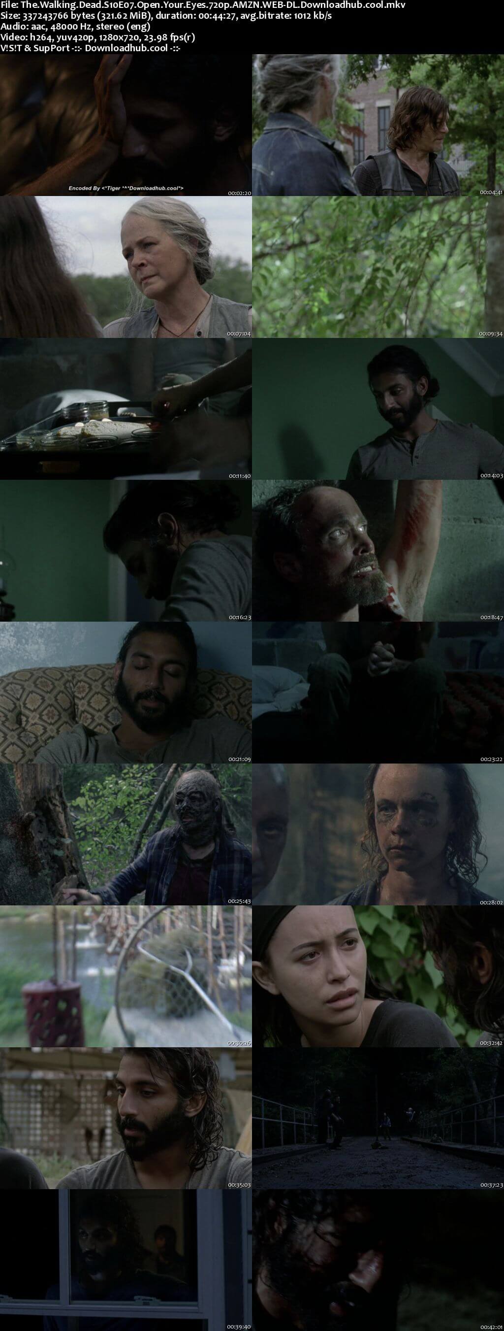 The Walking Dead S10E07 300MB AMZN WEB-DL 720p ESubs