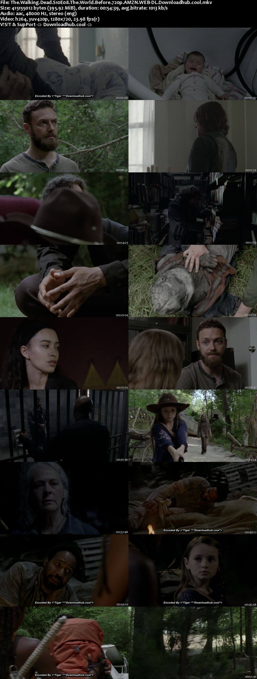 The Walking Dead S10E08 400MB AMZN WEB-DL 720p ESubs