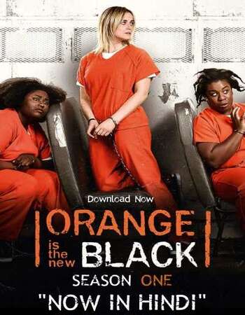 Orange Is the New Black S01 Complete Hindi Dual Audio 720p Web-DL ESubs