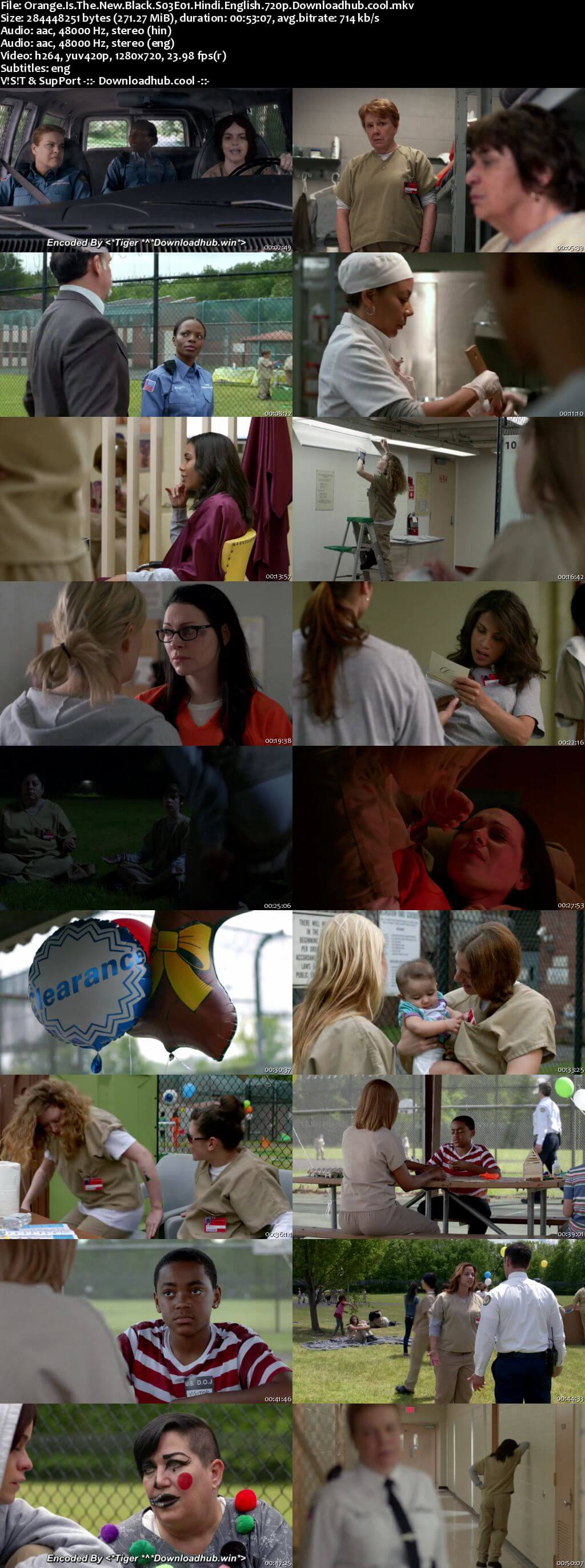 Orange Is the New Black S03 Complete Hindi Dual Audio 720p Web-DL ESubs