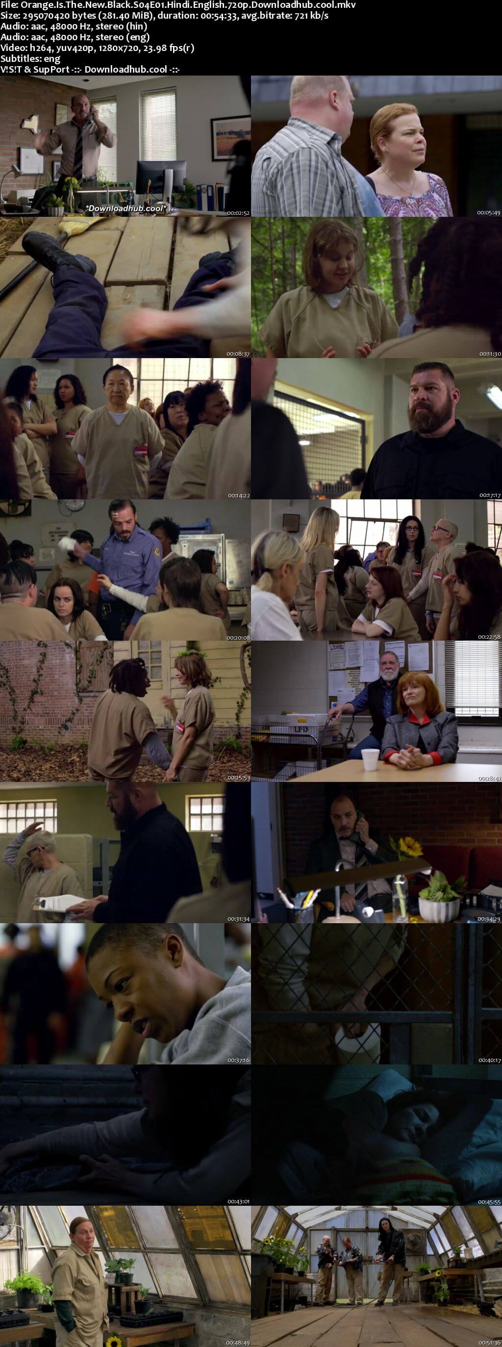 Orange Is the New Black S04 Complete Hindi Dual Audio 720p Web-DL ESubs