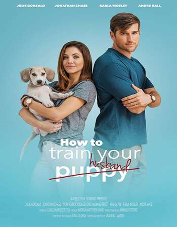 How to Train Your Husband 2018 Hindi Dual Audio WEBRip Full Movie 480p Download