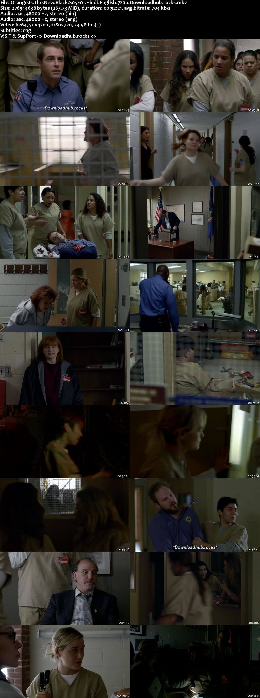 Orange Is the New Black S05 Complete Hindi Dual Audio 720p Web-DL ESubs