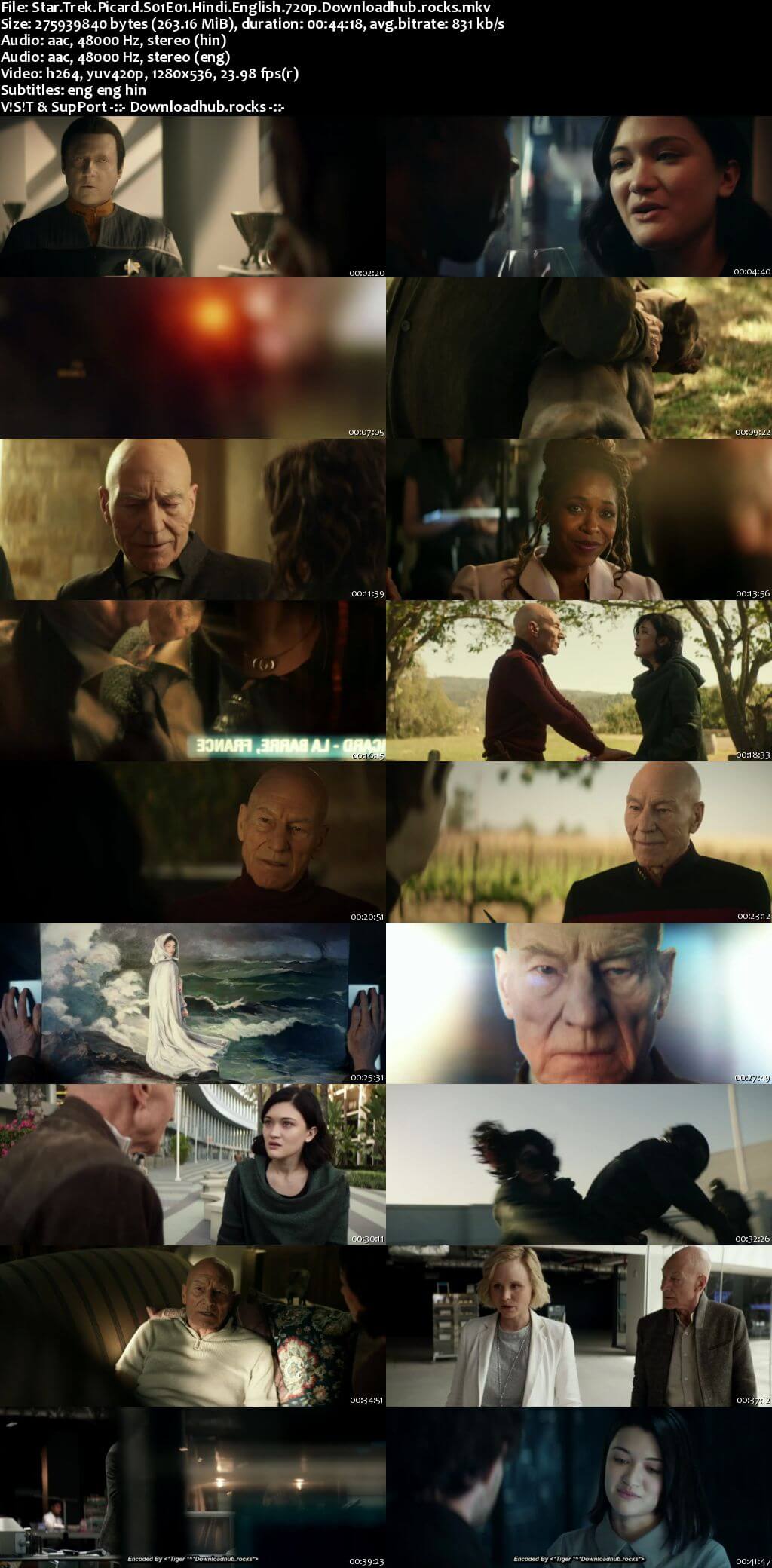 Star Trek Picard S01 Complete Hindi Dual Audio 720p Web-DL MSubs