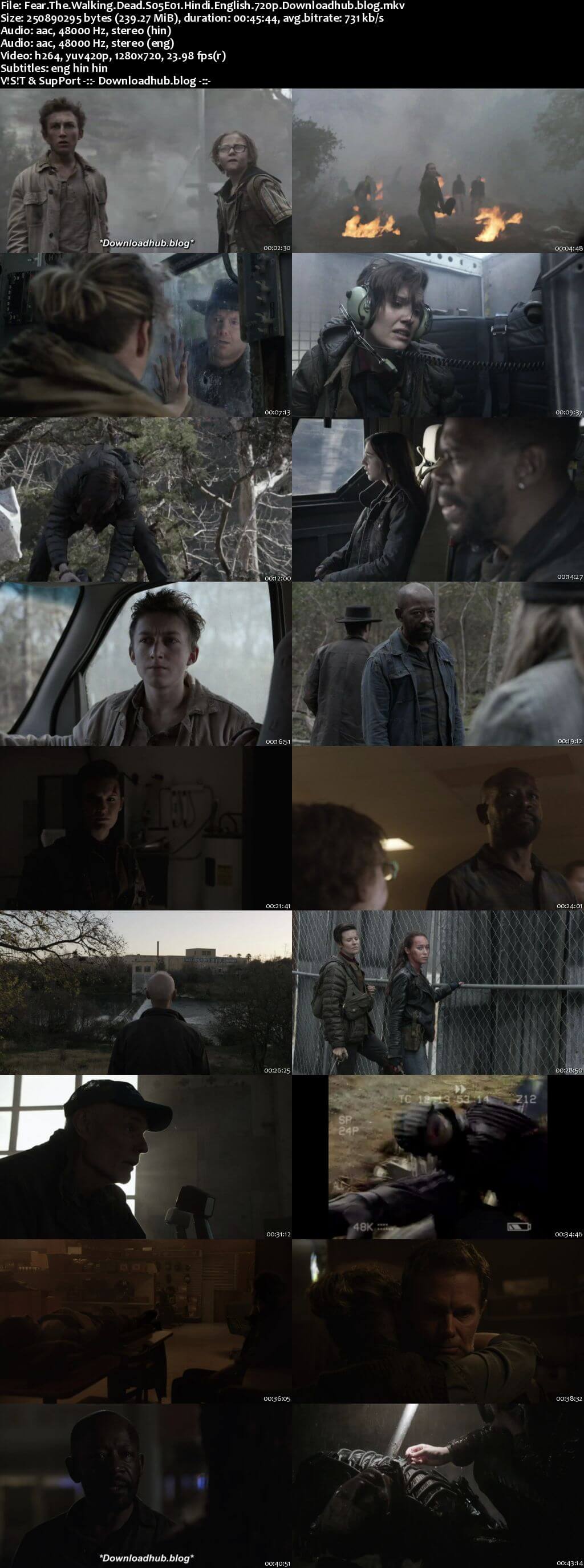 Fear the Walking Dead S05 Complete Hindi Dual Audio 720p Web-DL ESubs