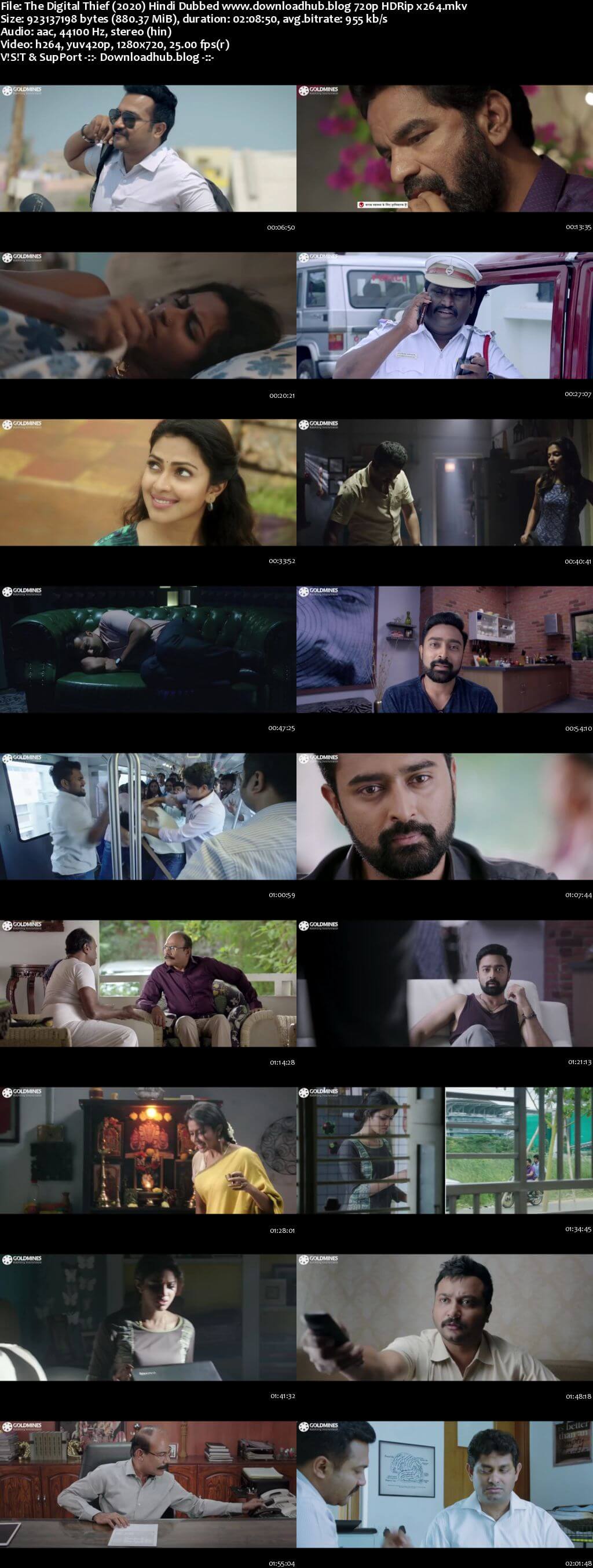 The Digital Thief 2020 Hindi Dubbed 720p HDRip x264