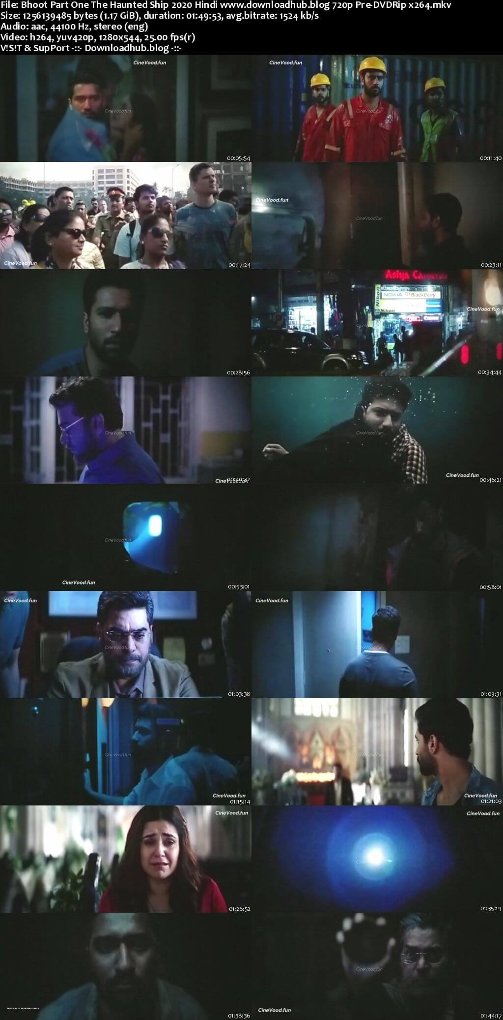 Bhoot Part One The Haunted Ship 2020 Hindi 720p 480p Pre-DVDRip x264