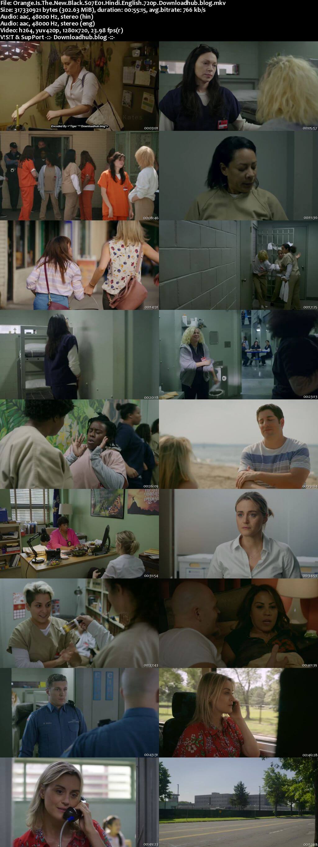 Orange Is the New Black S07 Complete Hindi Dual Audio 720p Web-DL ESubs