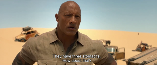 c462326bb88b48ed3c87833c9664ab06.png
