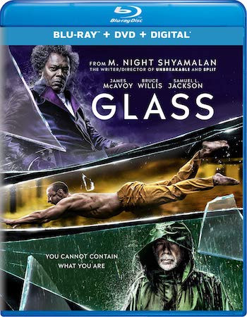 Glass 2019 Dual Audio Hindi Bluray Movie Download