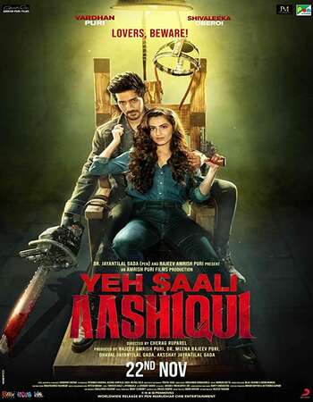 Yeh Saali Aashiqui 2019 Full Hindi Movie 720p HDRip Download