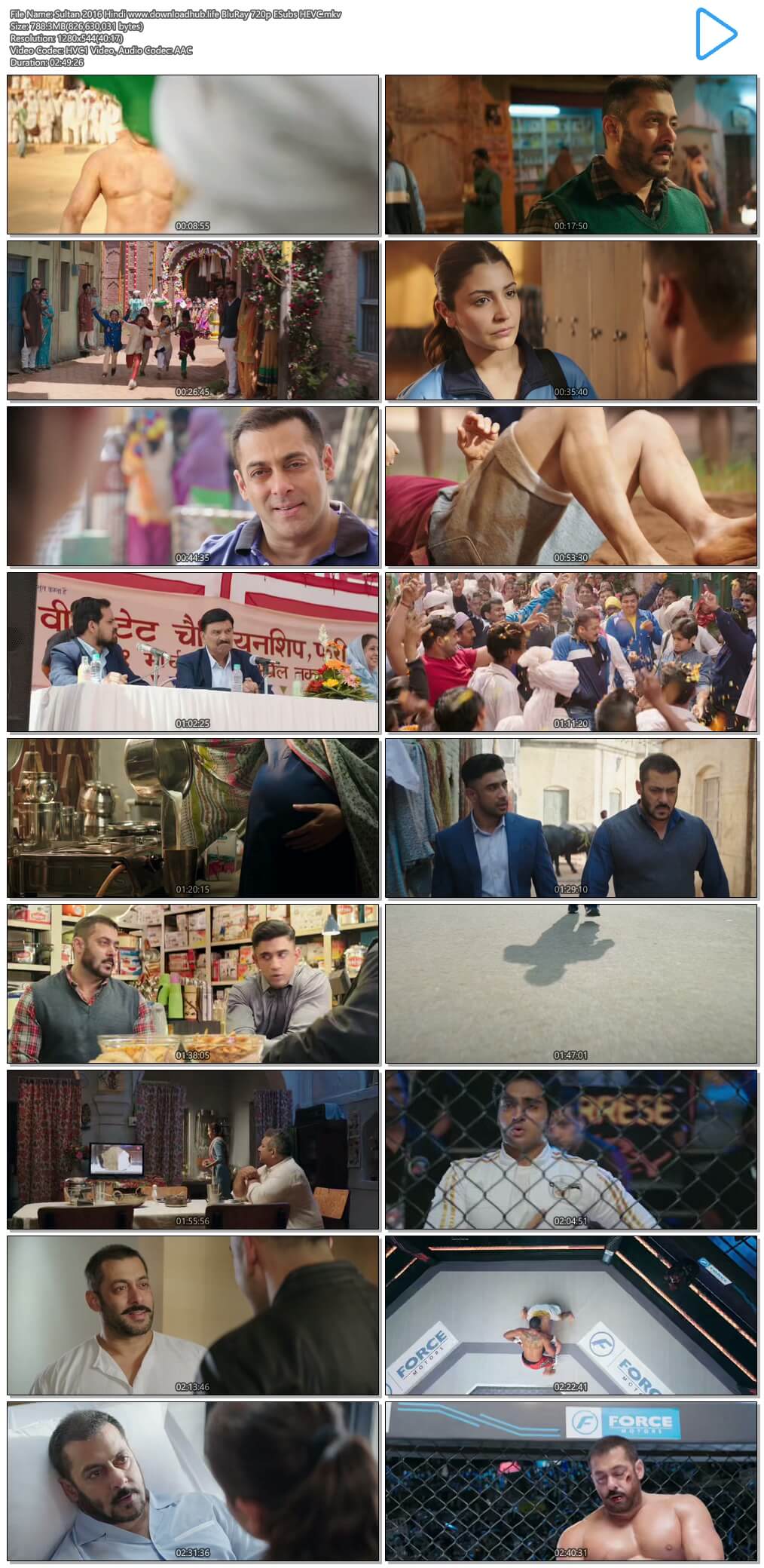 Sultan 2016 Hindi 750MB BluRay 720p ESubs HEVC