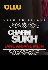 Charmsukh (Jane Anjane Mein) 2020 Hindi S01 ULLU WEB Series 720p HDRip x264