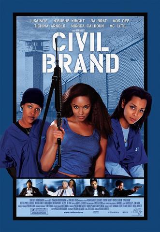 Civil Brand 2002 Hindi Dual Audio 480p WEB-DL x264 300MB ESubs