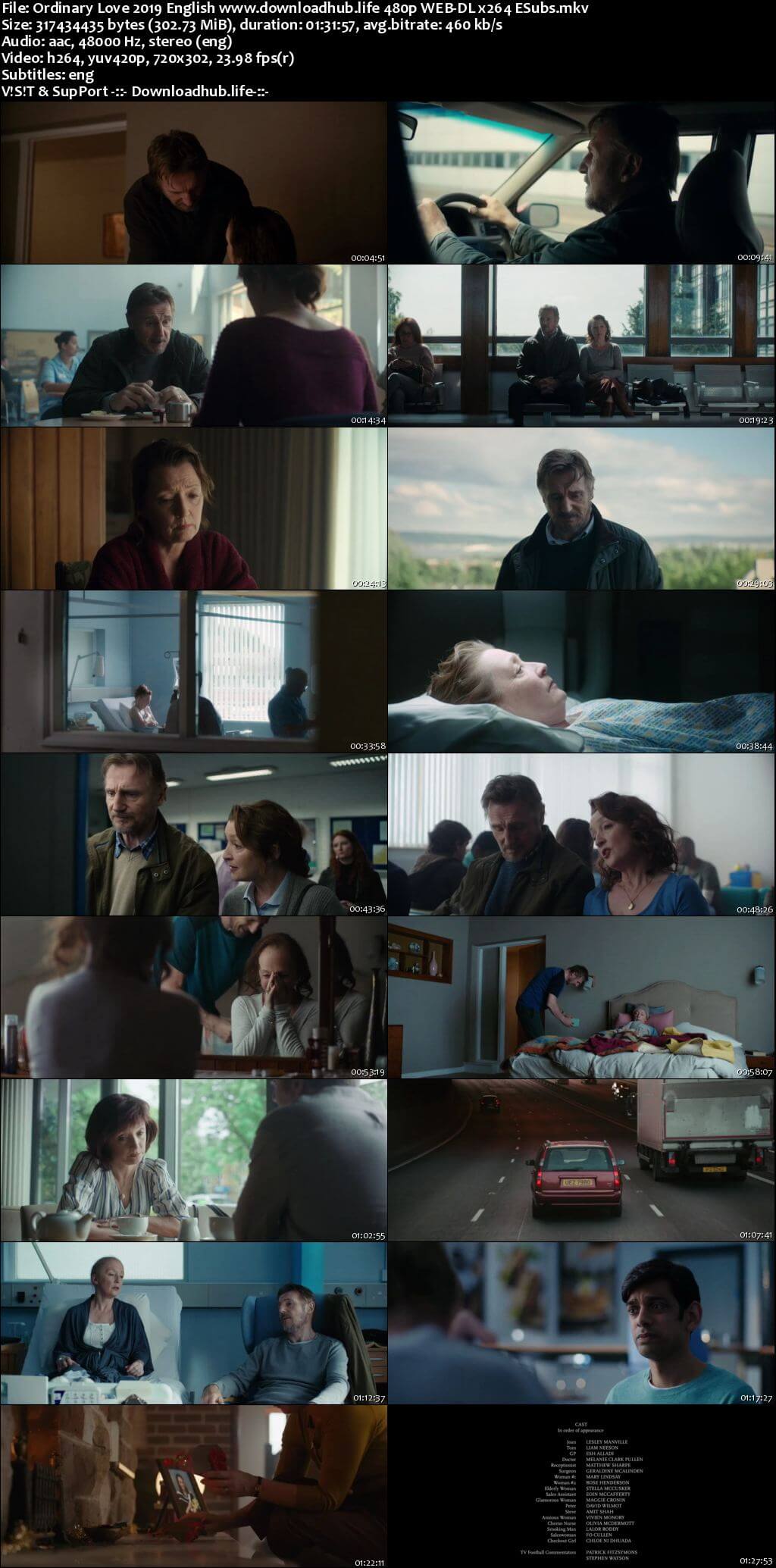 Ordinary Love 2019 English 300MB Web-DL 480p ESubs