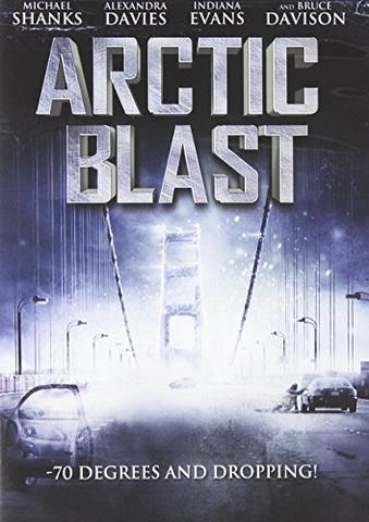 Arctic Blast 2010 Hindi Dual Audio 480p BluRay x264 350MB ESubs